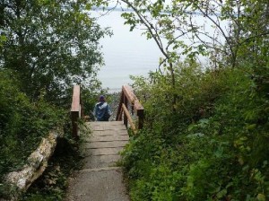 Stairs at the end of the trail leading to the beach.