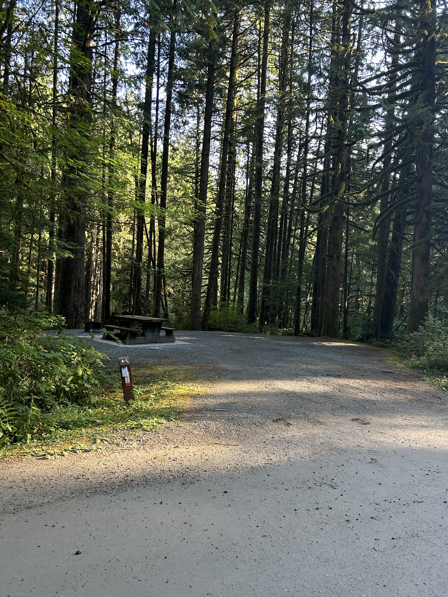 Top Tips for Camping at Alouette Campground in Golden Ears Park - Camp ...