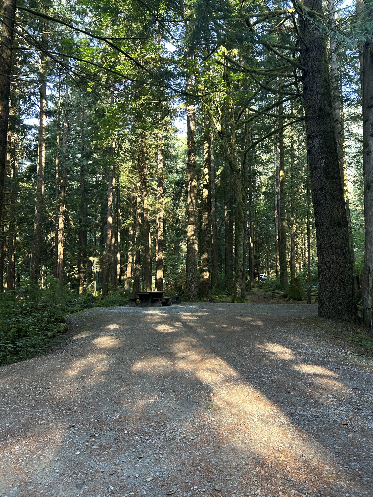 Top Tips for Camping at Alouette Campground in Golden Ears Park - Camp ...